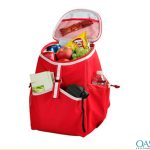 Fun Cooler Backpack Wholesale