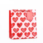 Valentine's Day Gift Bag