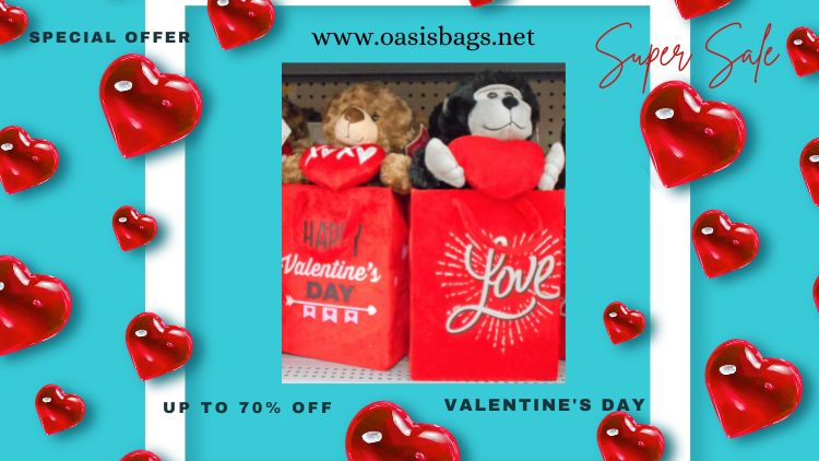 valentines gift bags supplier